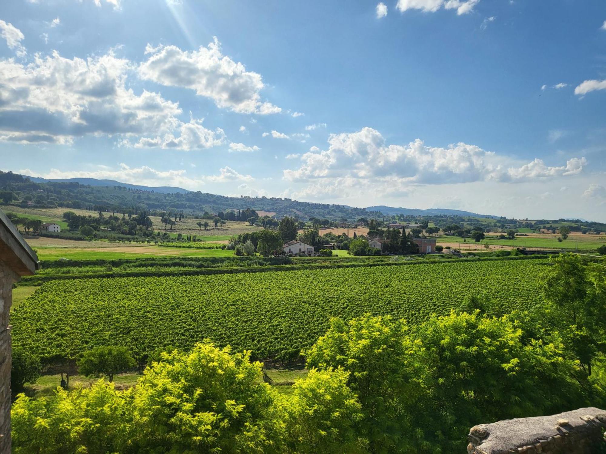 Appartamento Con Camino In Centro Storico Bevagna Exteriör bild